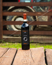 Barbera d’Asti DOCG 2024 – Piemonte, Itália