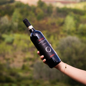 Ruchè di Castagnole Monferrato DOCG 2023 - Piemonte, Itália