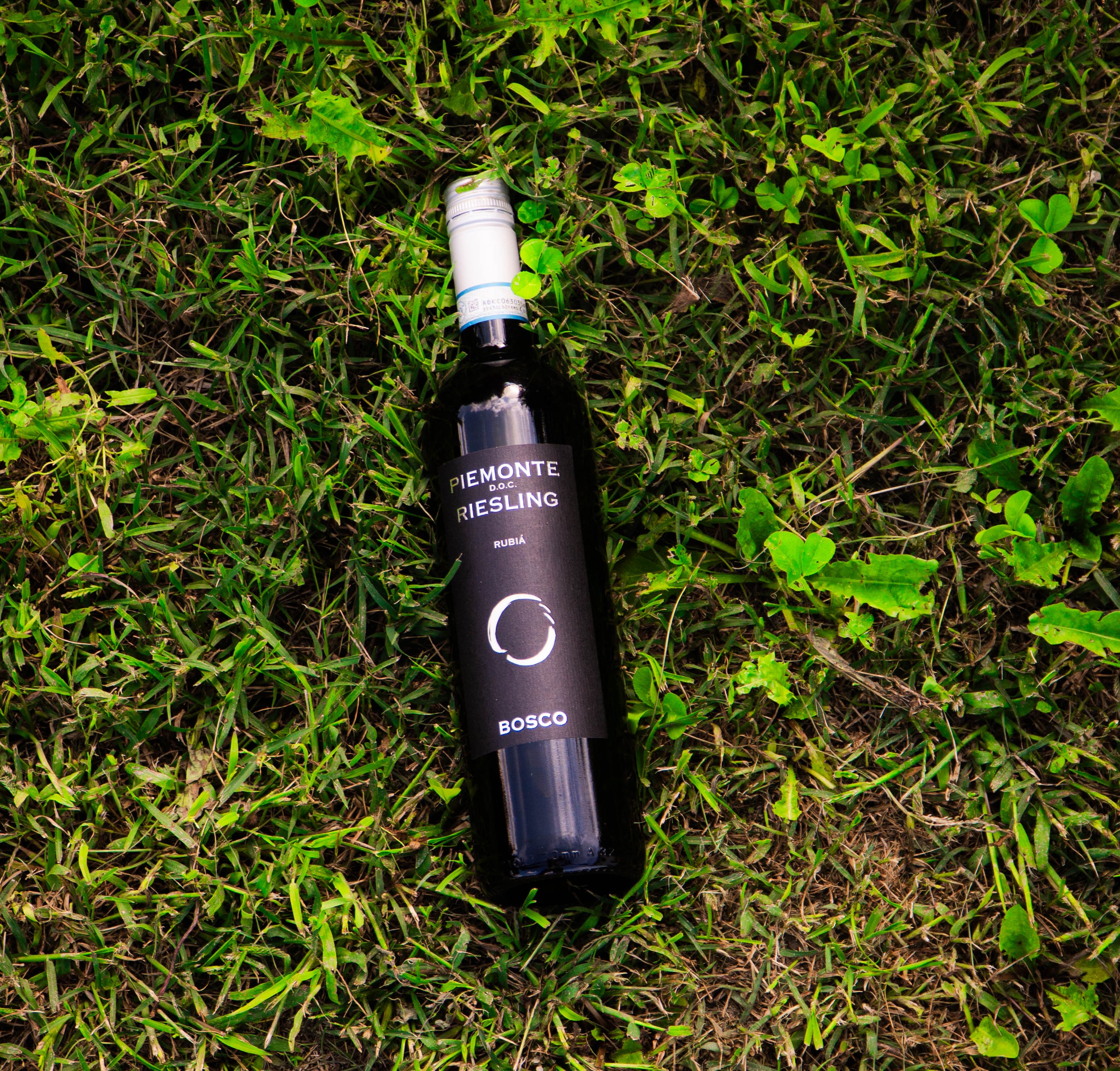 Riesling DOC 2024 – Piemonte, Itália