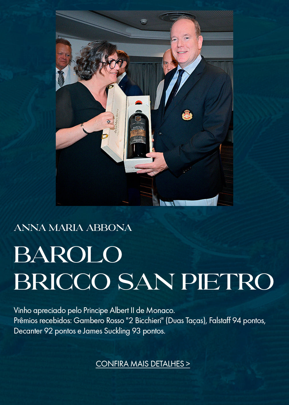 banner-vincenzi-barolo-bricco-san-pietro-mobile.jpg